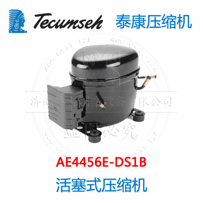 AE4456E-DS1B